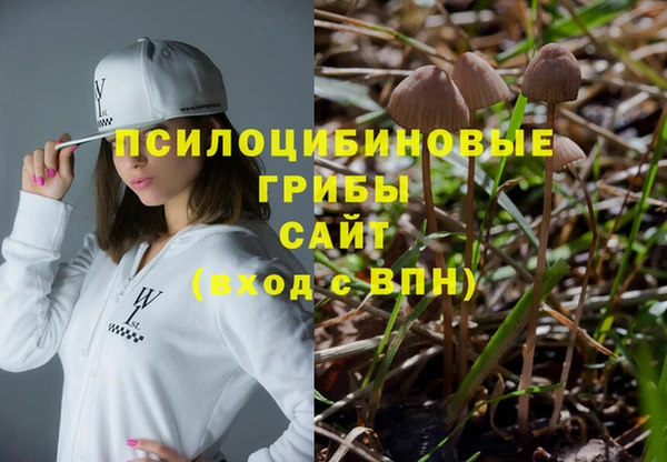 гидра Осинники