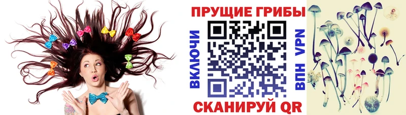 Галлюциногенные грибы Psilocybine cubensis  даркнет сайт  Владивосток 